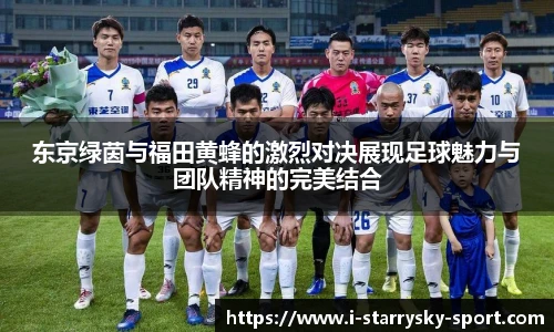 星空体育官网下载