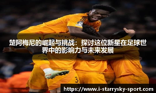 星空体育官网入口